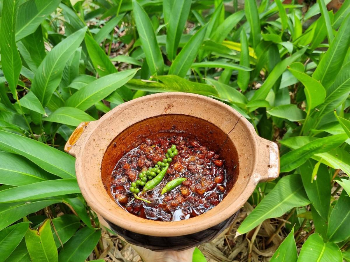 Ba Danh Homestay & Kitchen - Ben Tre Mekong Exteriör bild