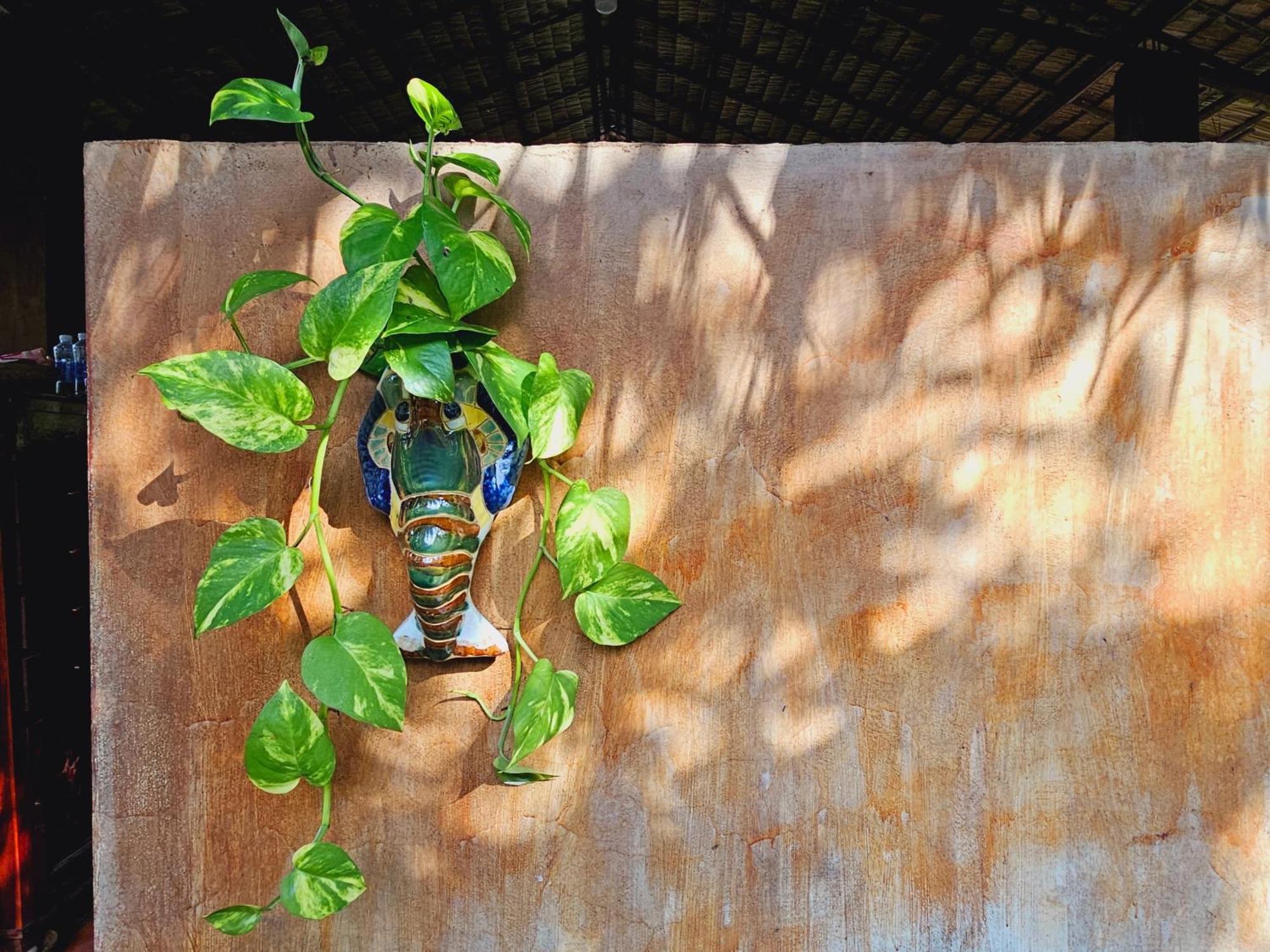 Ba Danh Homestay & Kitchen - Ben Tre Mekong Exteriör bild