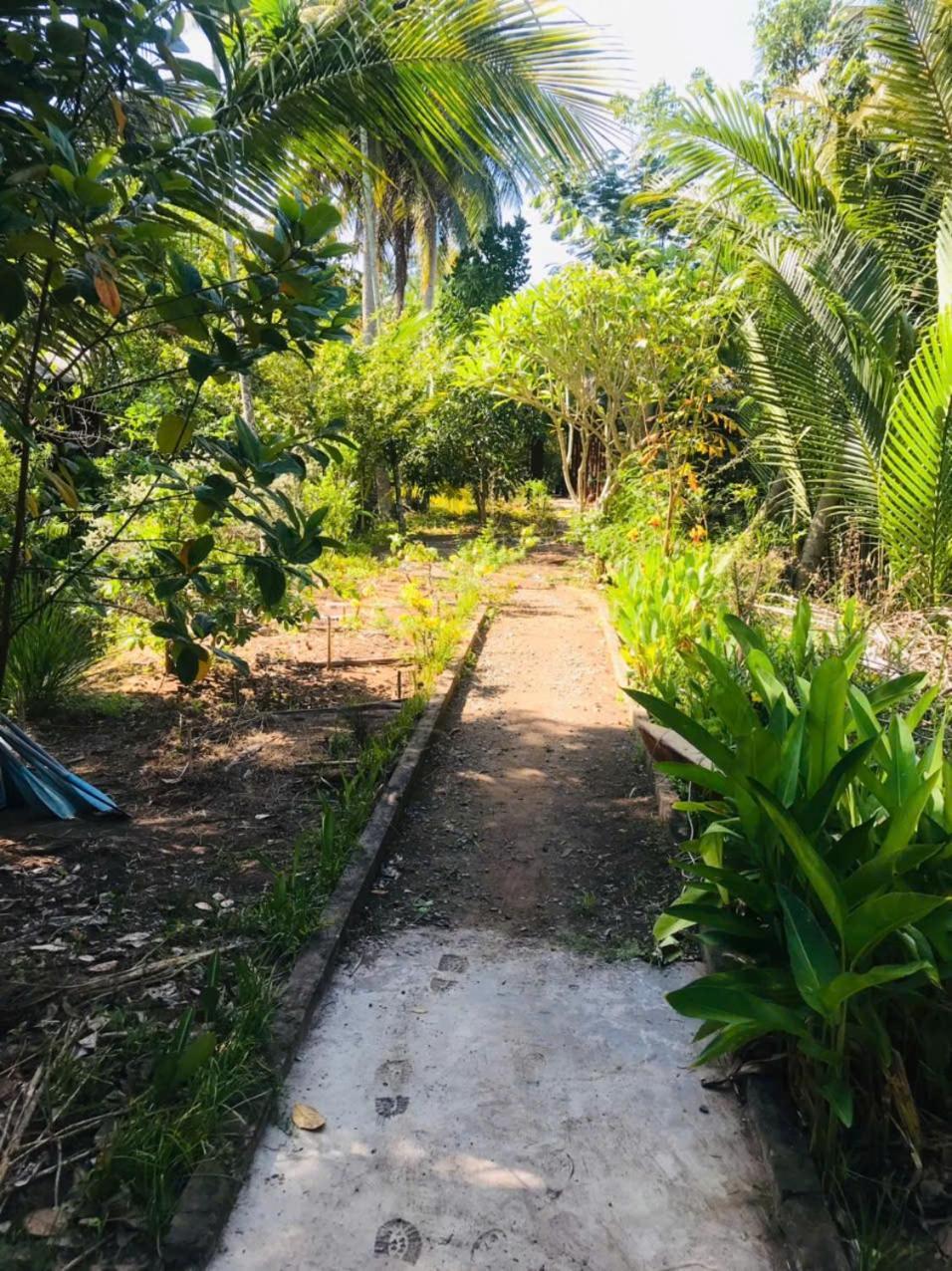 Ba Danh Homestay & Kitchen - Ben Tre Mekong Exteriör bild