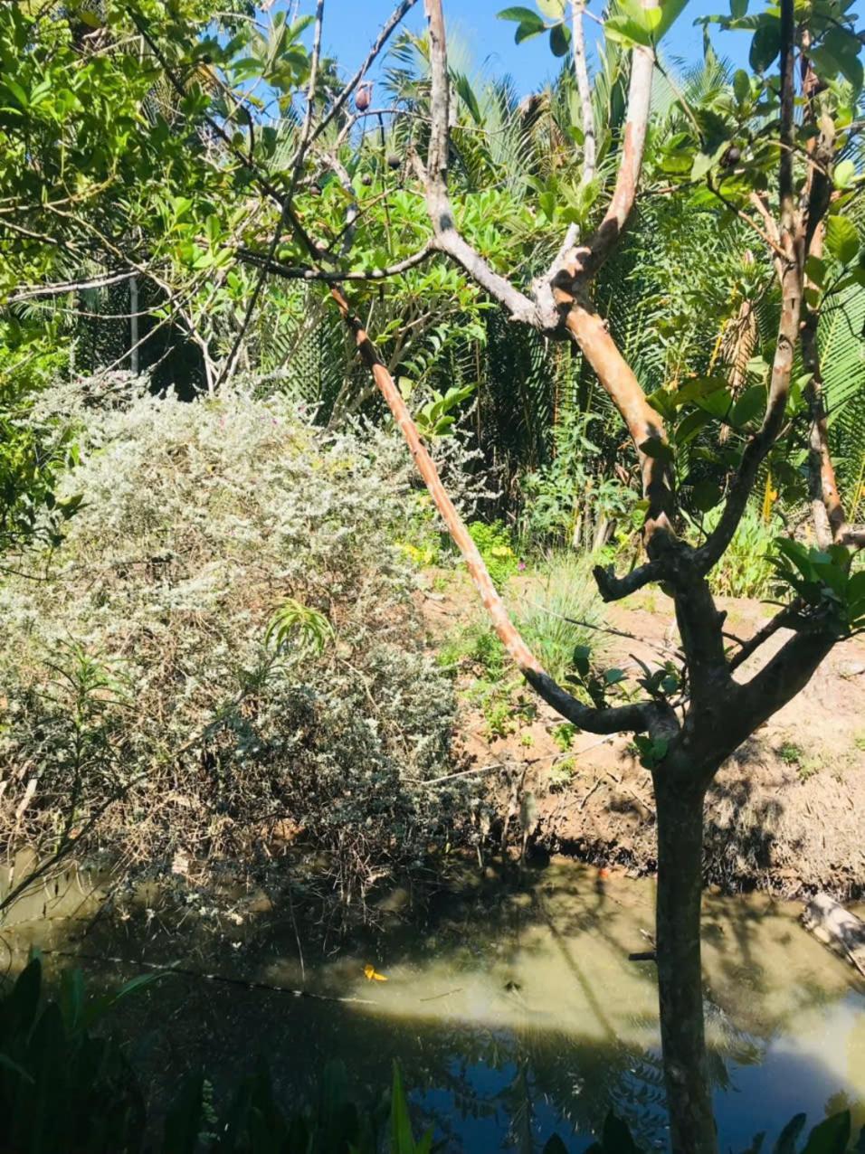 Ba Danh Homestay & Kitchen - Ben Tre Mekong Exteriör bild