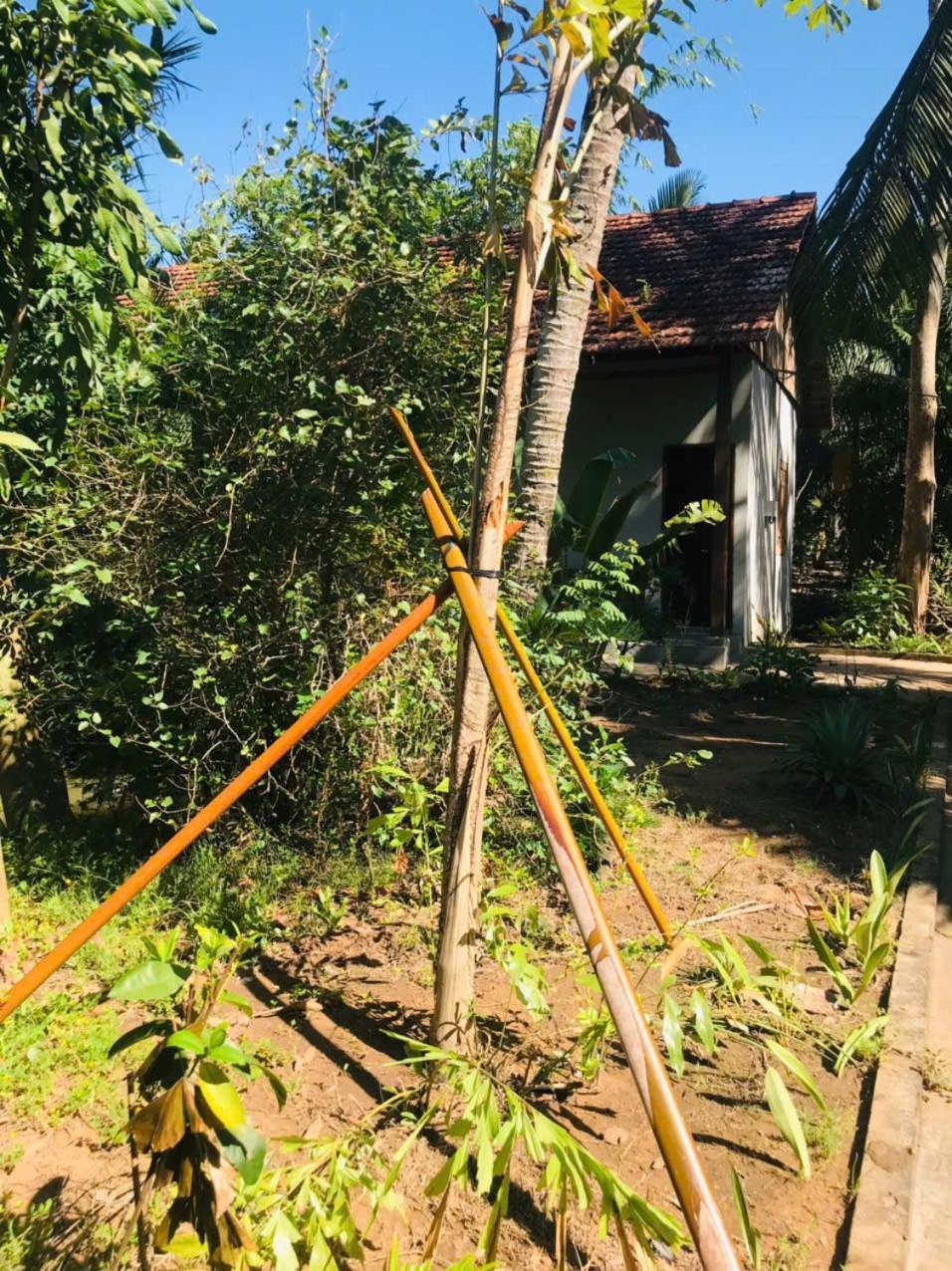 Ba Danh Homestay & Kitchen - Ben Tre Mekong Exteriör bild