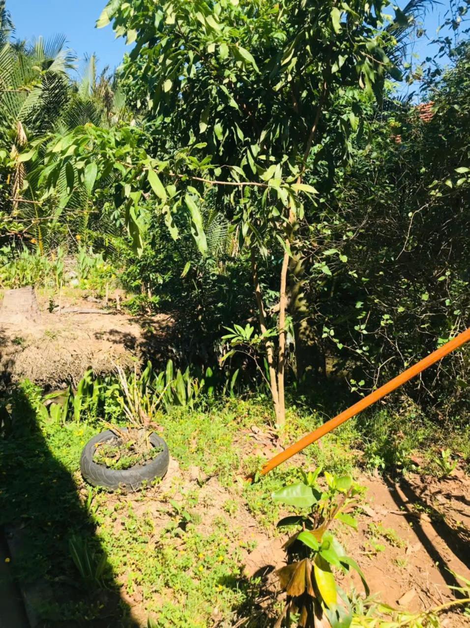 Ba Danh Homestay & Kitchen - Ben Tre Mekong Exteriör bild